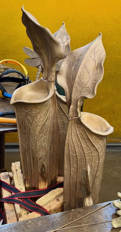 Assembly of green pitcher plants for UC Berkeley bronze memorial