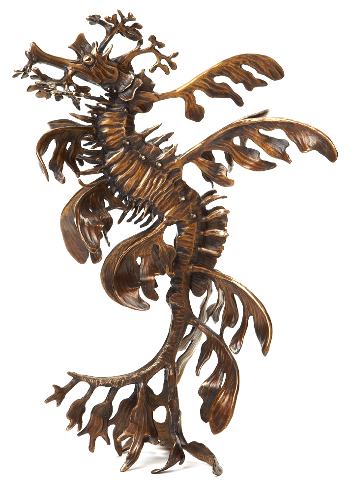 <img src="Leafy sea dragon.jpg" alt="Leafy" />