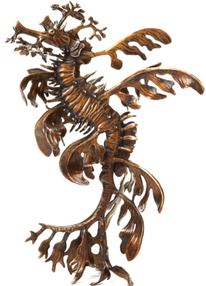 <img src="http://leafy sea dragon_bronze_sculpture/bronze_horizontal_sculpture_n.jpg" alt="Bronze leafy">