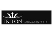 <img src="http://Triton submarines_squid_sculpture_n.jpg" alt="Bronze giant squid">